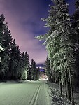 IMG_3467