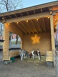 IMG_3867