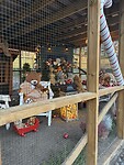 IMG_3875