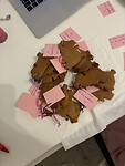 IMG_3951
