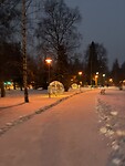 IMG_3979