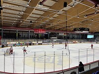 IMG_4137