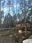 IMG_4222