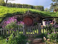 IMG_6909