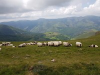 Onderweg naar Roncevalles