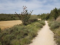 Heel ander landschap weer