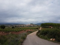 Rioja Blanco