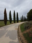 Na het park in Logroño