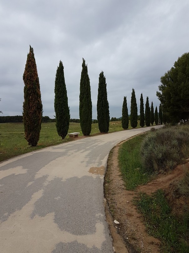 Na het park in Logroño