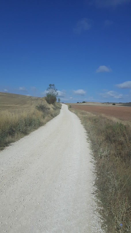 De Meseta