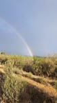 Regenboog bij de eerste "regen"