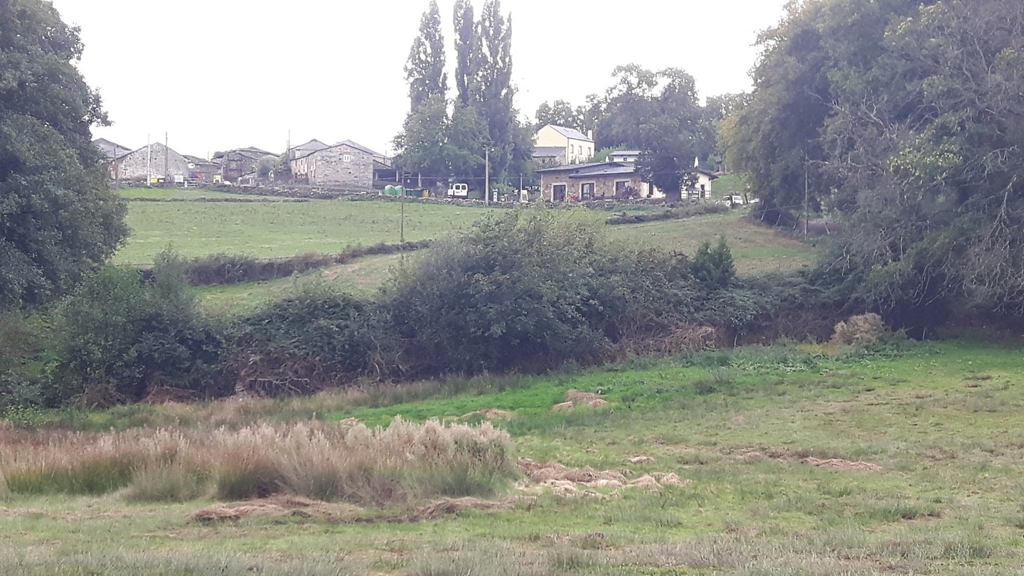 Barbadelo