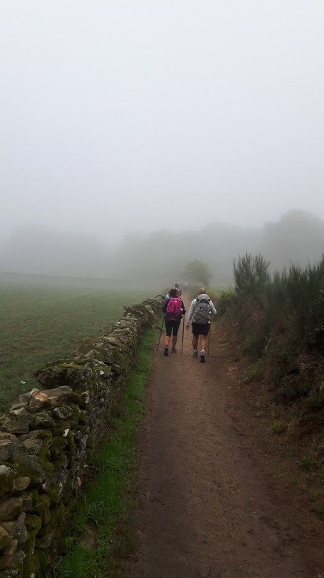 Vertrek in de mist