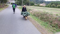 Vanavond Caldo Galega, de traditionele koolsoep van Galicia...mmm