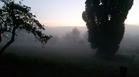 Het wordt licht....mist