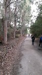 Zo heerlijk in het eucalyptusbos.