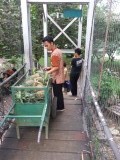 Bukith lawang