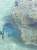20140821_103242
