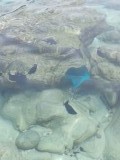 20140821_103204
