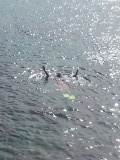 20140821_091435