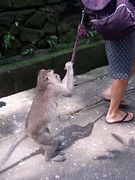 20160821_131016