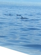 20160824_080339