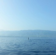 20160826_081642-1