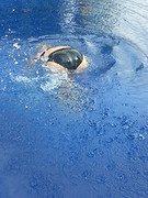 20160825_143140