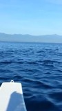 20160825_081105