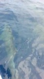 20160828_092417
