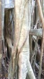 20160904_102637