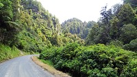 1 Forgotten World Highway