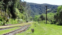 4 Verlaten Railway