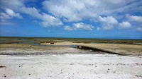 10 De wadkant van Farawell Spit