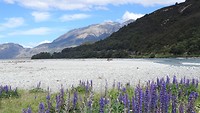 Arthurs pass 2