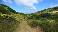 Sandfly Bay 1