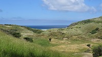 Sandfly Bay 2