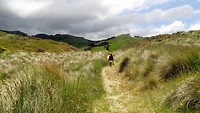 Sandfly Bay 3