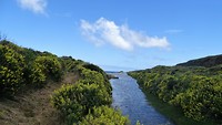 Sandfly Bay 4