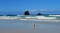 Sandfly Bay 7