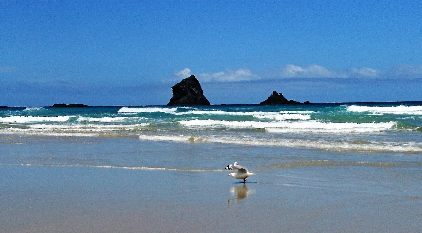 Sandfly Bay 7