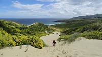 Sandfly Bay 10