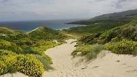 Sandfly Beach