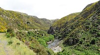 Taieri Gorge 2