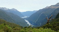 Doubtful Sound 2