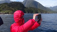 Doubtful Sound 9