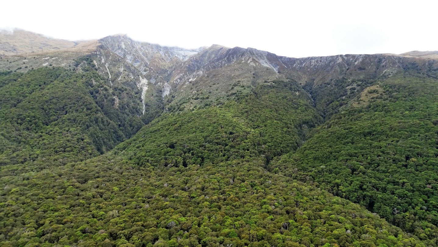 5 Haast Pass 