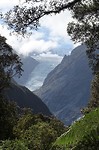 Fox Glacier