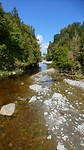 Lake Matheson rustig riviertje met andere kleur