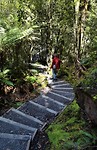 Lake Matheson trap in hobbitlandschap